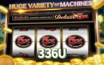 336U visual 2