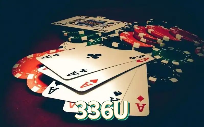 336U cadastro