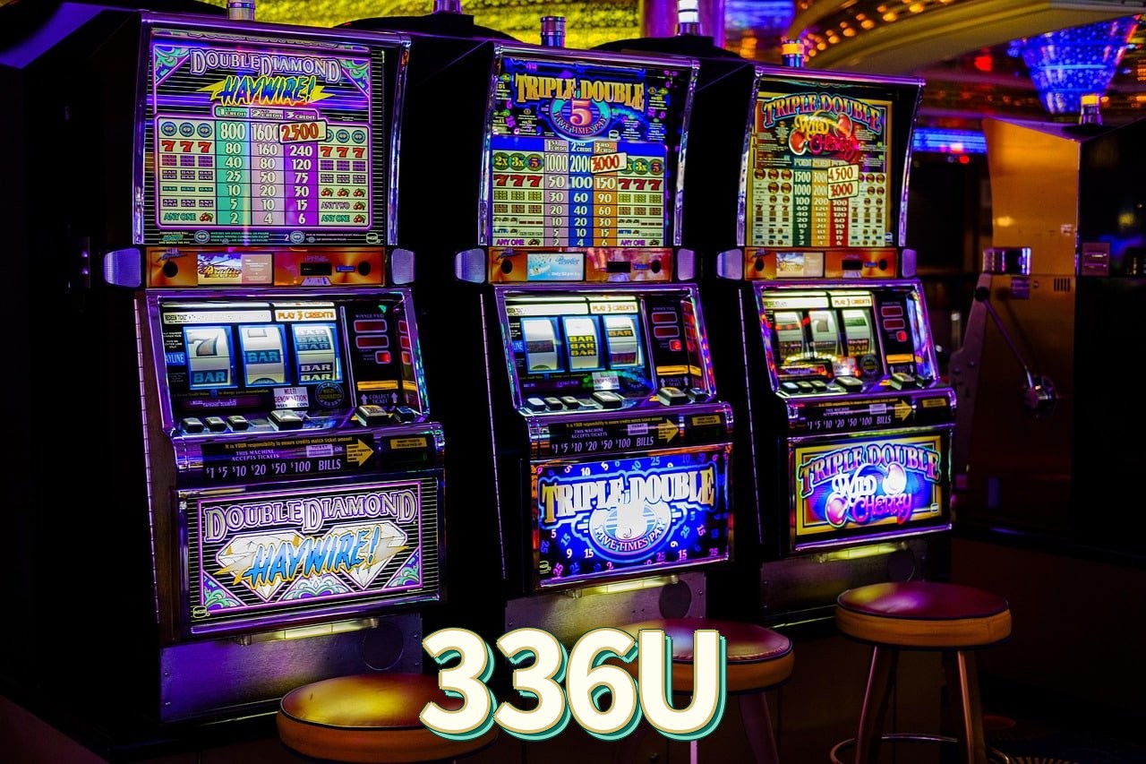 336U Logo Seguro